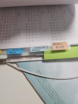 Maike T. review photo
