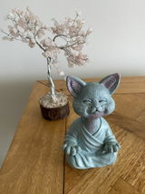 Lyra P. review photo