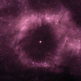 Bùi Thị Hồng Nhung review photo