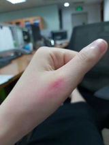 Mỹ Hoài review photo