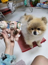 邱雪莉 review photo