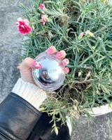 冯 若萱 review photo