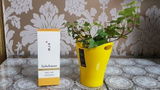 Thủy Trúc review photo