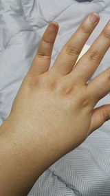 Vỹ Việt review photo