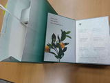 劉靜嫣 review photo
