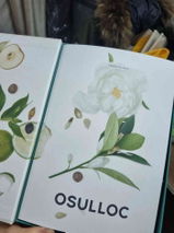 พัชรียา รัตติยา ประยูร review photo