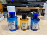 Paola Virginia Montanari review photo
