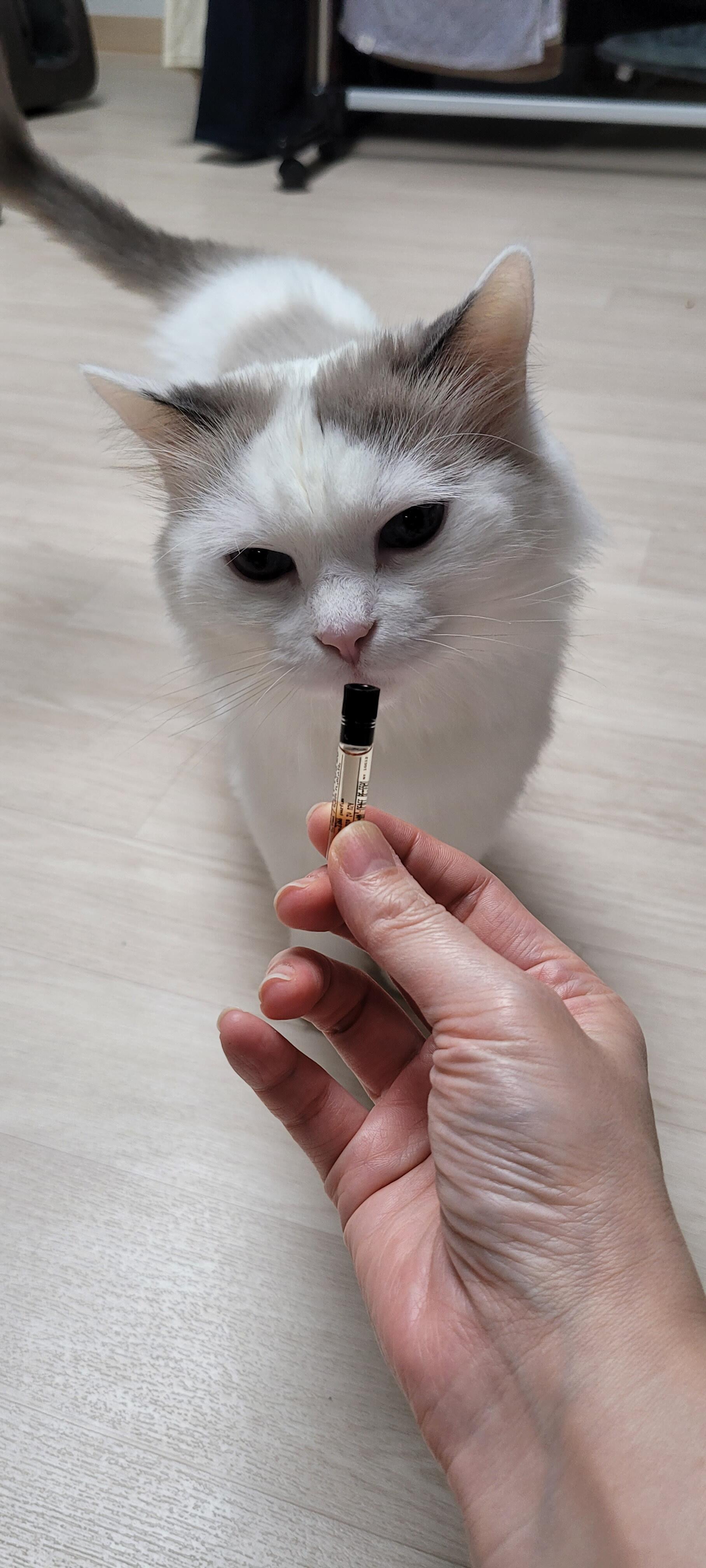 沈诗瑶 review photo