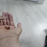 石黒 萌香 review photo