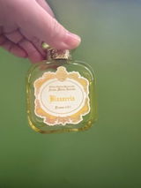 張靜茹 review photo