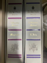 林婉婷 review photo