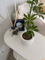 Flavia Ornella Amato review photo