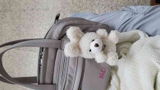 오민서 review photo