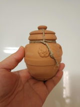 郑雨涵 review photo