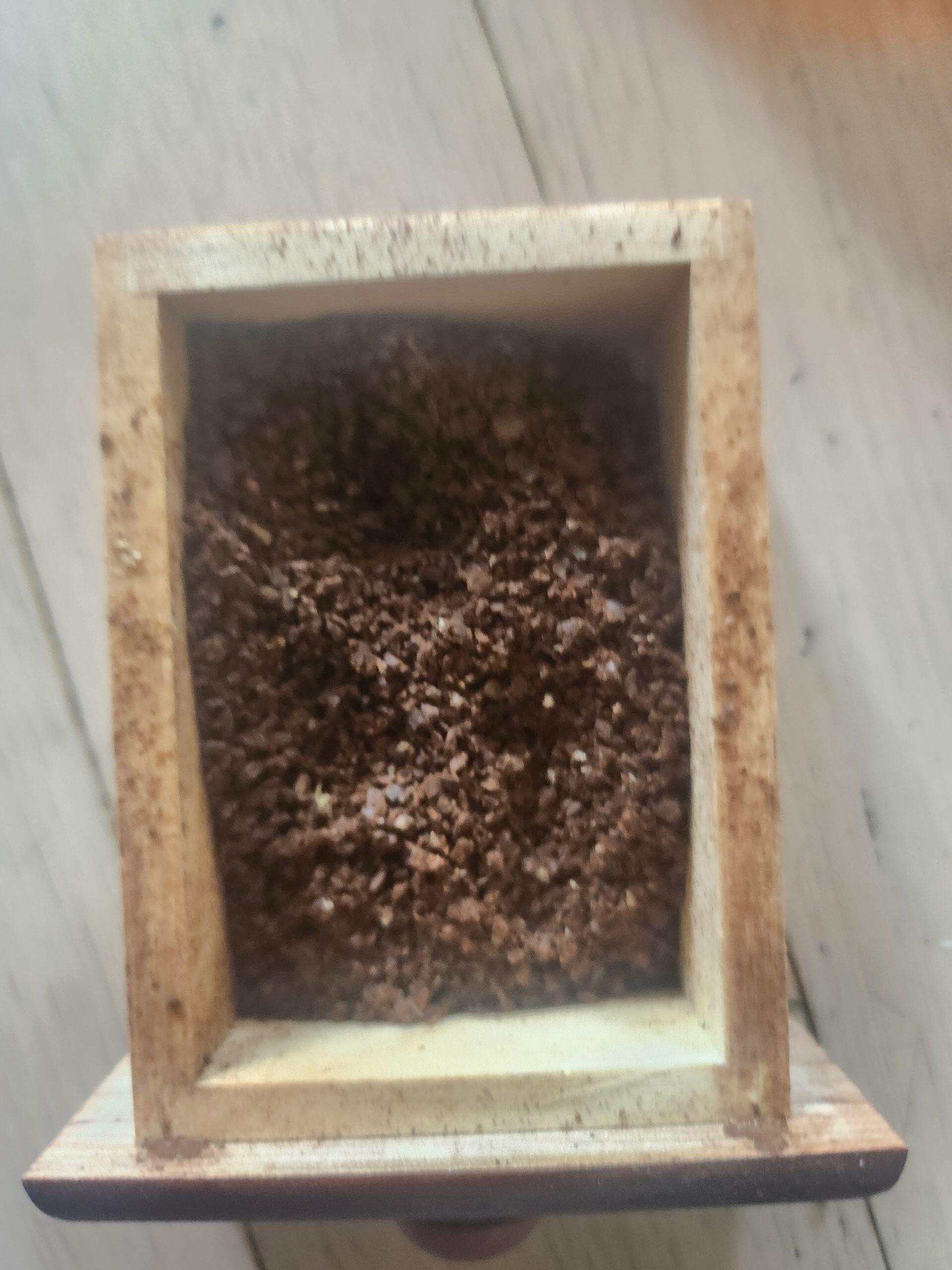 周美玲 review photo