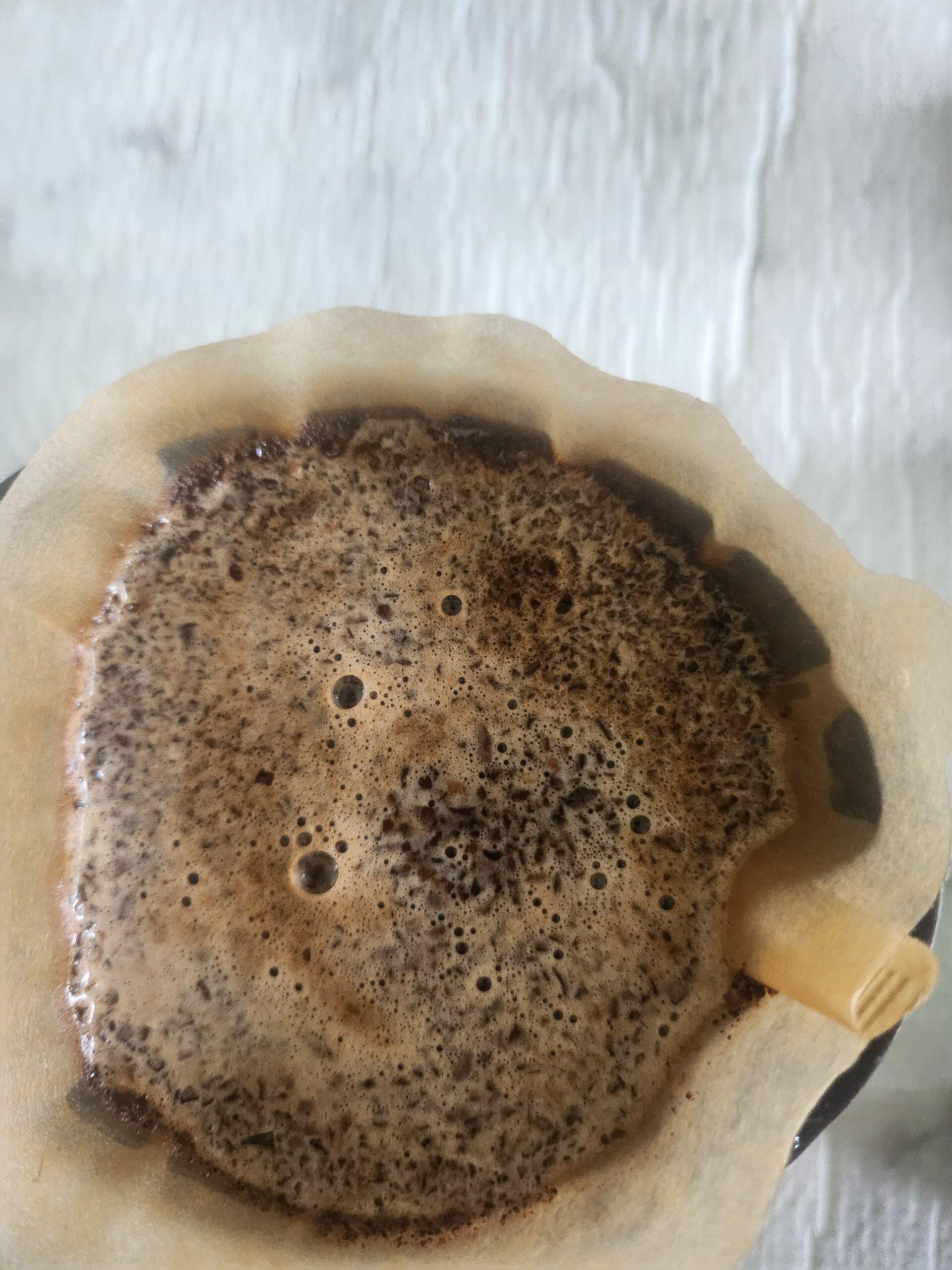 木下 咲穂 review photo