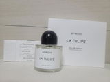 Lysiane Fanny Villeneuve review photo