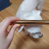 Людмила Олеговна Яковлева review photo