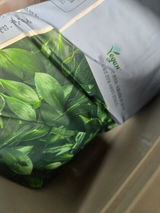 望月 美樹 review photo