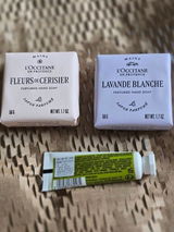 Elvire Chloé Gosselin review photo