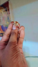 Shree agency review photo