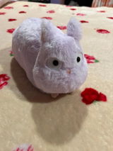 Fatima review photo