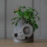 Patrick review photo
