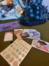 Gracie review photo