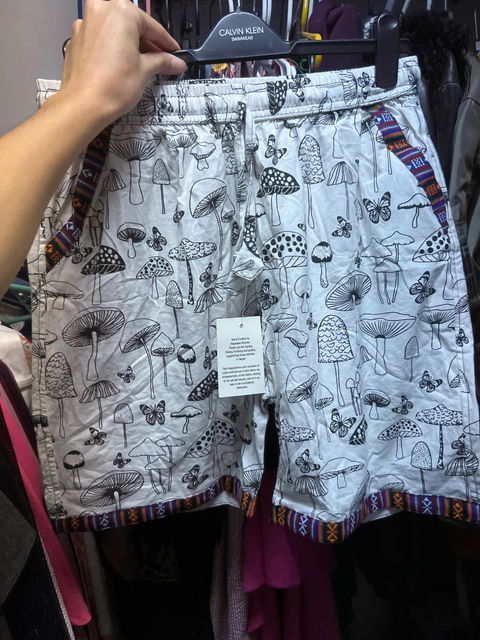 Butterfly Mushroom Short D279