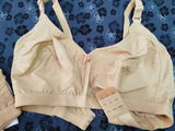 Saniya review photo