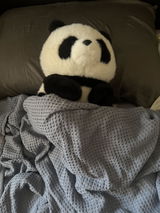 Oi wan Lai review photo