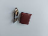 David Scott review photo