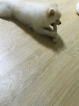 ㅁ review photo