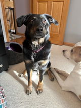 Etsy customer review photo