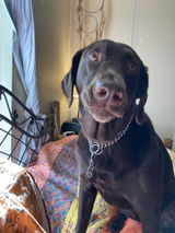 Etsy customer review photo