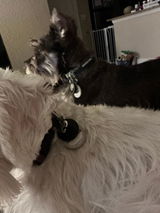Etsy customer review photo