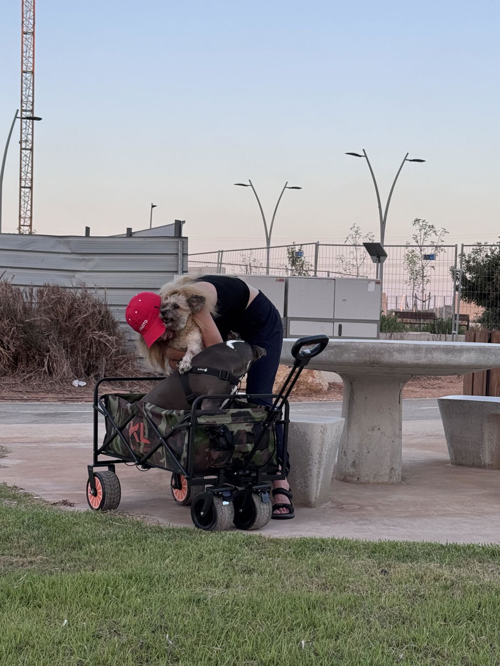 עגלת קמפינג חשמלית נטענת