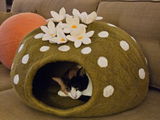 Lulabelle's Mom review photo
