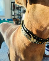 Buck’s mom ❤️🐾❤️ review photo