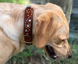 Betsy review photo