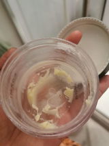 Eimanhassoun review photo