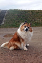 Gerhard review photo