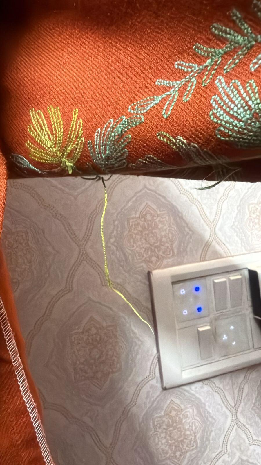 Janhvi Joshi review photo