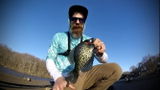 Mike Palladino review photo