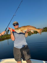 Bama Bandit Sportfishing review photo