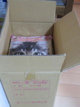 藤枝梅安 review photo
