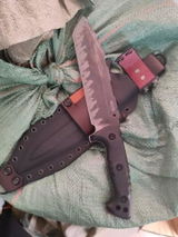 leroy Snyder review photo
