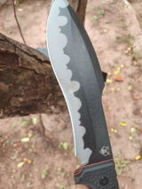 Richard Gillette review photo