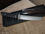 Julian Pleiades review photo