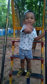Raisen Pingua review photo